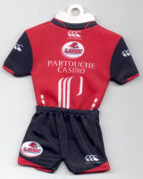 LOSC Lille Métropole - Home - 2008-2009 - Thanks to TOPTeams