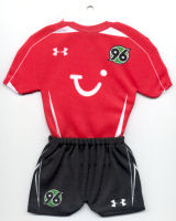 Hannover 96 - Home 2008-2009 - Thanks to TOPteams