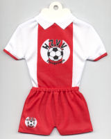 HZVV - Thanks to TOPteams