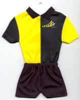 ZZVV - Sponsored by TOPTeams