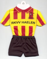 RKVV Haelen - Thanks to TOPteams